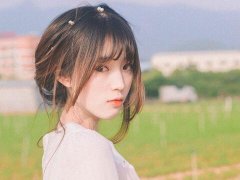 属羊的运程 属羊人的流年运程