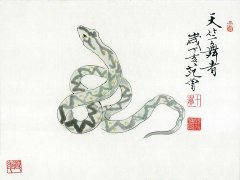 辰时出生的属蛇人命运如何（7:00-9:00）