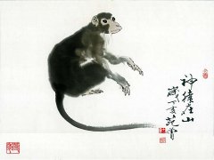 辰时出生的属猴人命运如何（7:00-9:00）