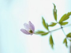 qq男生可爱网名大全