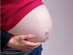 女狗宝宝取名大全20