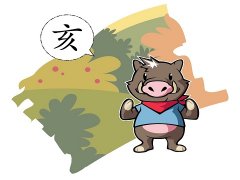 下半年能给属猪带来好运的贵人属相