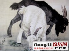 属羊人2018年2月份运势详解