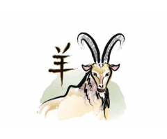 属羊几月出生的女人偏财运好