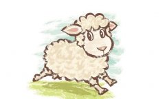 1967年属羊人2020年运势，54岁属羊在鼠年命运如何