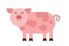 2007年属猪是什么命，07年出生五行属什么
