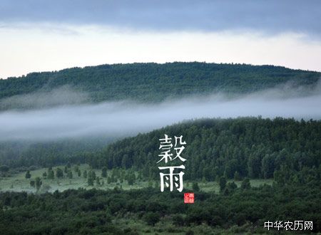 谷雨节气